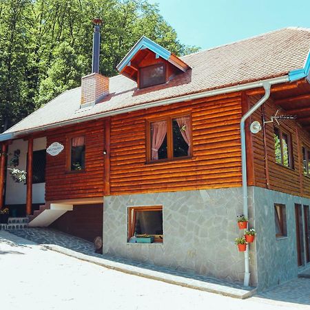 Etno Domacinstvo Milenkovic Villa Деспотовац Екстериор снимка