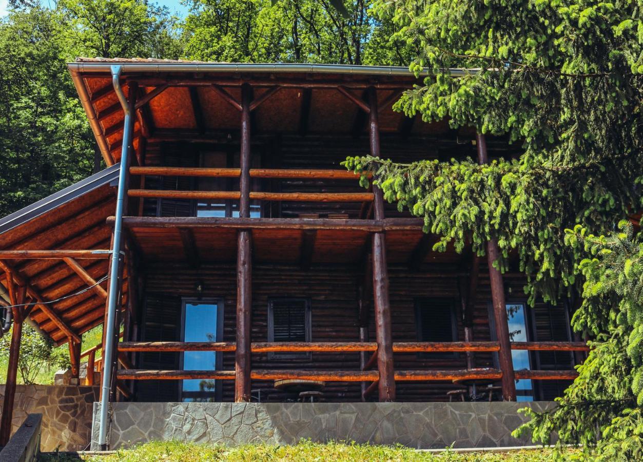 Etno Domacinstvo Milenkovic Villa Деспотовац Екстериор снимка
