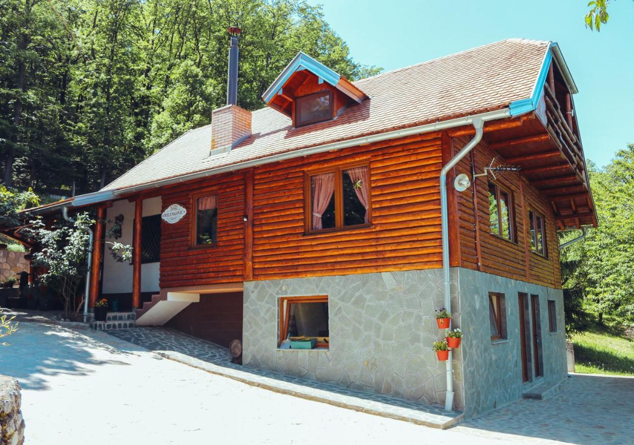 Etno Domacinstvo Milenkovic Villa Деспотовац Екстериор снимка