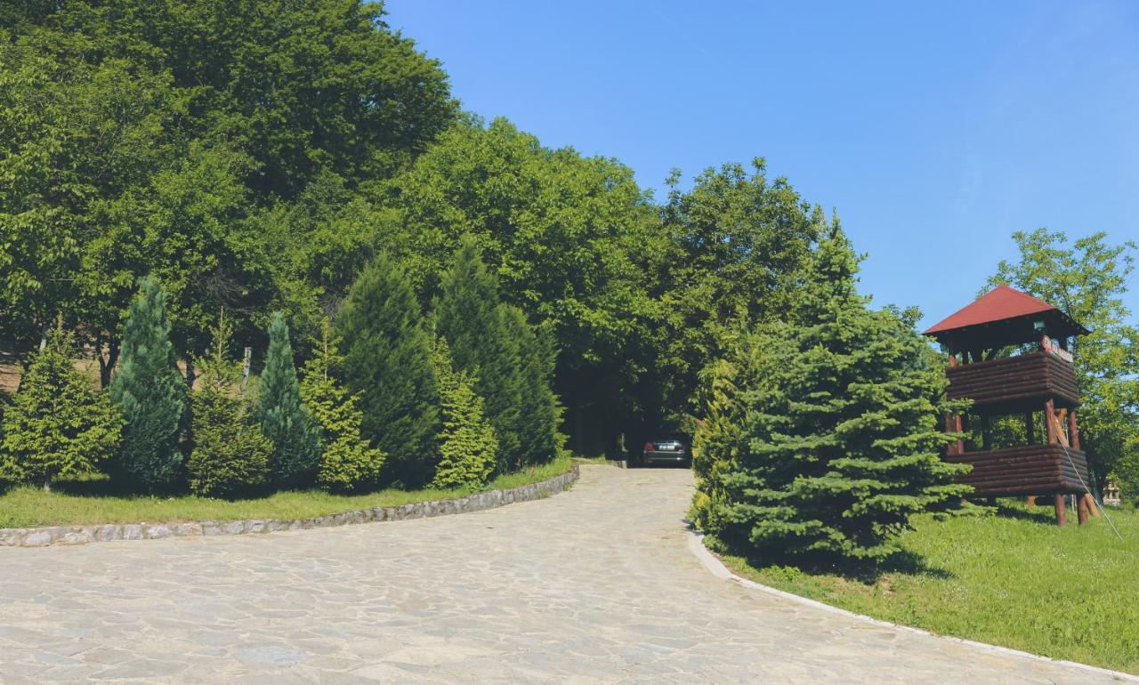 Etno Domacinstvo Milenkovic Villa Деспотовац Екстериор снимка