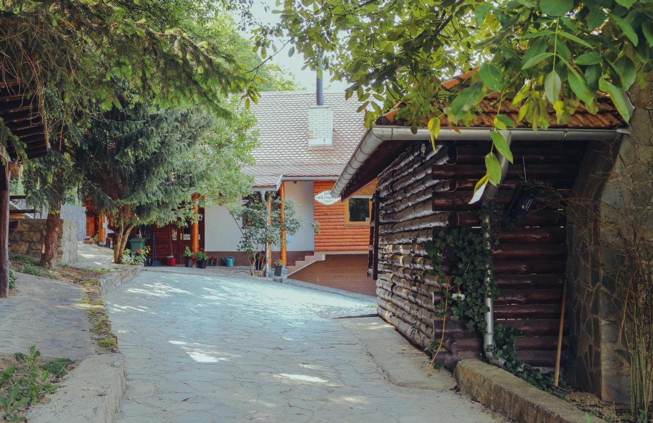 Etno Domacinstvo Milenkovic Villa Деспотовац Екстериор снимка