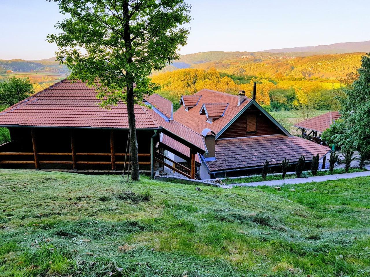 Etno Domacinstvo Milenkovic Villa Деспотовац Екстериор снимка